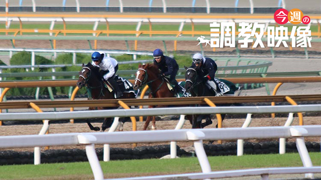 ã‚¨ãƒ—ã‚½ãƒ ã‚«ãƒƒãƒ—2021ç‰¹é›† Netkeiba Com ç«¶é¦¬äºˆæƒ³ çµæžœ é€Ÿå ± ã‚ªãƒƒã‚º å‡ºé¦¬è¡¨ å‡ºèµ°äºˆå®šé¦¬ é¨Žæ‰‹ æ‰•æˆ»ãªã©ç«¶é¦¬æœ€æ–°æƒ…å ±